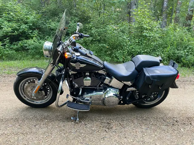 2016 Harley Davidson FATBOY in Street, Cruisers & Choppers in Edmonton - Image 2