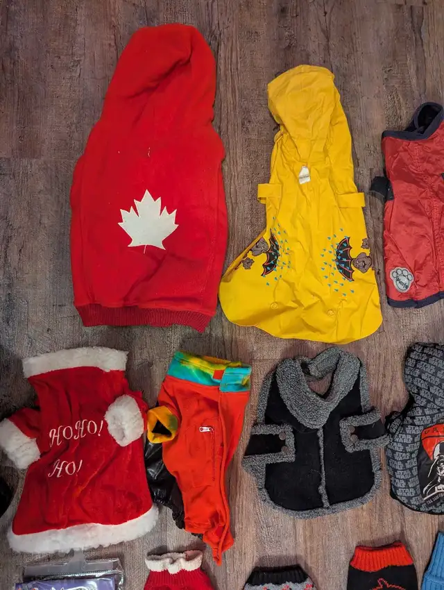 DOG Coats,l & Jackets, safety cone, lg rope toy, water bott in Other in Moncton - Image 5