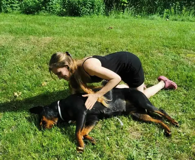 Natural Dog Nutrition & Wellness | 100% Online Consultations in Animal & Pet Services in Moncton - Image 3