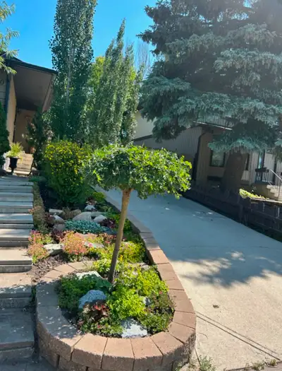 Walkout 1 BR, Furnished includes Ultilities