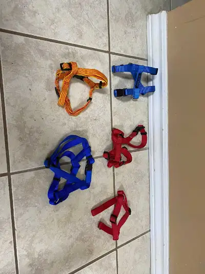 Dog or puppy or pet rope harness, View more