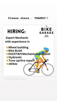 Bicycle Mechanic