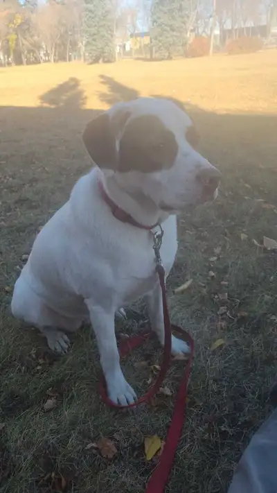 looking for work. can start ASAP, View more