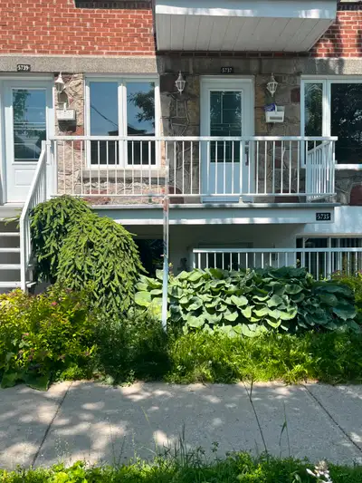 Grand 4 1/2 lumineux en sous-location à Rosemont