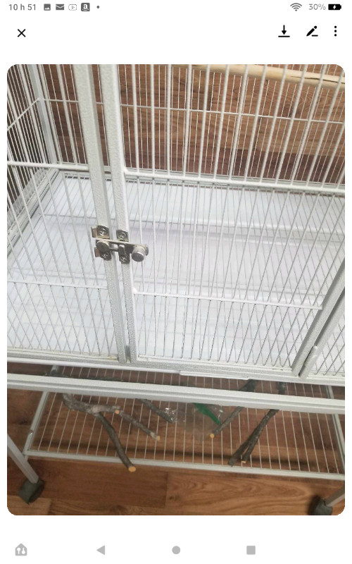 Cage d oiseau dans Oiseaux à adopter  à Shawinigan - Image 4