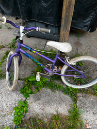 SuperTrax Kids Bike 8-12, 20" wheels Single Speed, Purple/White