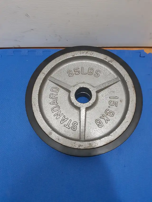 Olympic weight plates in Exercise Equipment in Delta/Surrey/Langley - Image 5