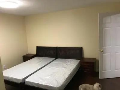 Furnished  room for single