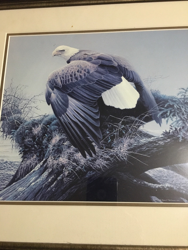 Robert Bateman American eagle print in Arts & Collectibles in Ottawa - Image 2