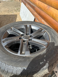 2023 F150 factory rims and tires
