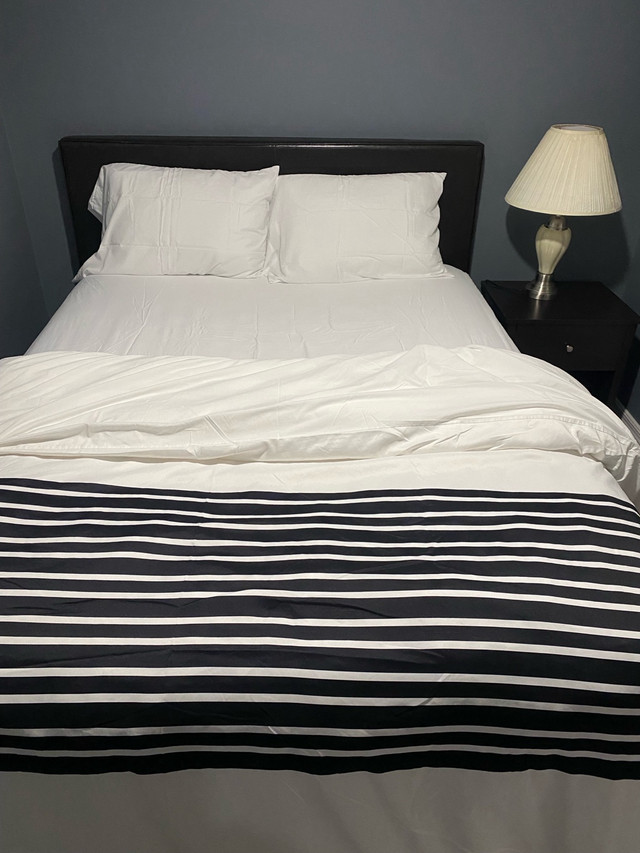 Furnished 1bedroom 1bath in Short Term Rentals in Regina