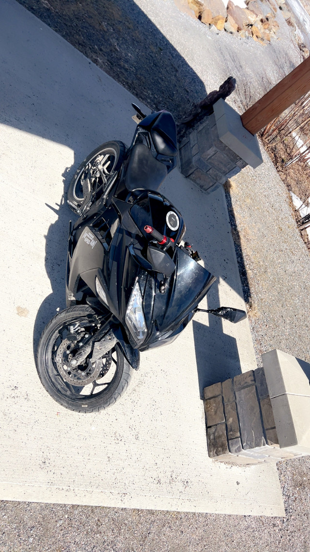 2024 Tao Leo 724 in Sport Bikes in Sudbury - Image 2