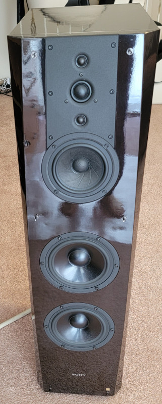 SONY SS-NA2ES Floor-Standing Speakers Retail New: USD $10，000 in Speakers in Richmond - Image 2