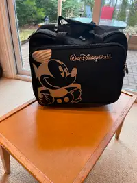 Walt Disney World Carry-On roller suitcase with extending handle