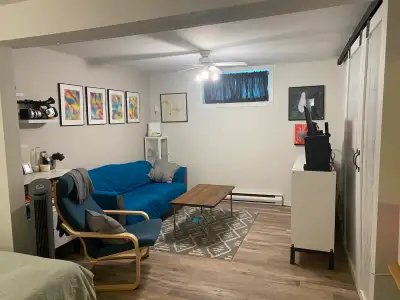 Gatineau - 1 Bedroom + Den Basement (3 1/2) Apartment - Aug 1st