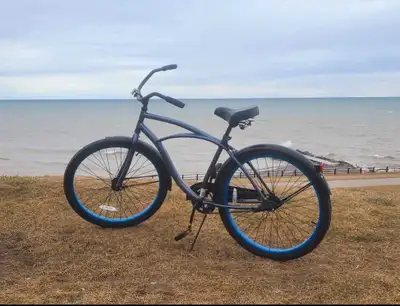 cruise bike, View more