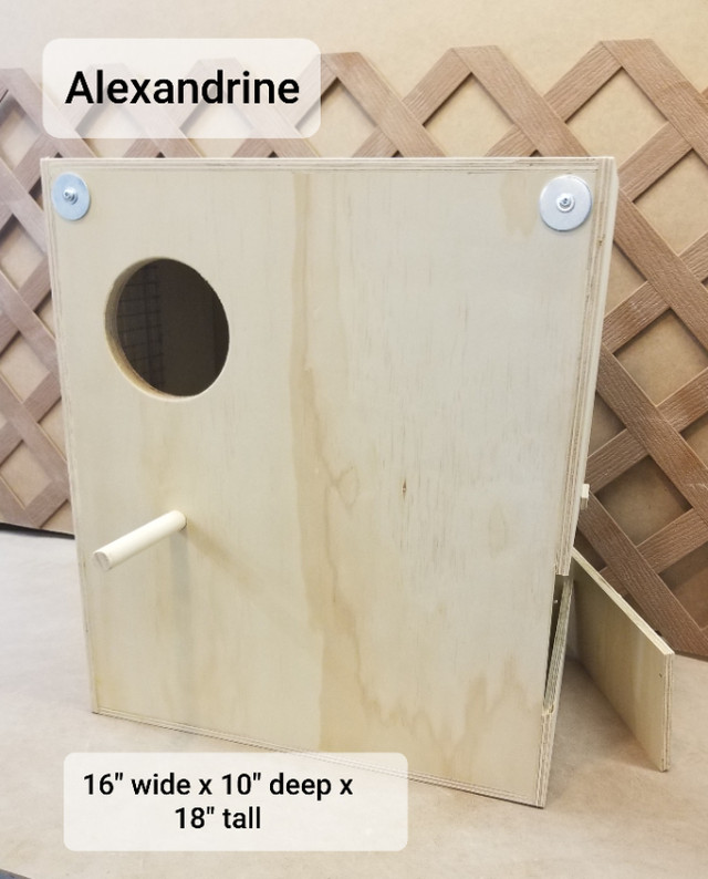 Nest boxes in Birds for Rehoming in Calgary - Image 2