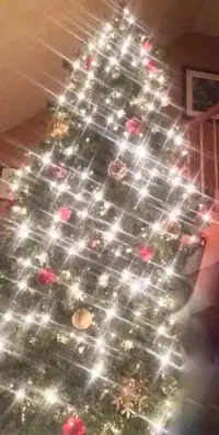 Xmas tree with integrated lights 13 feet high