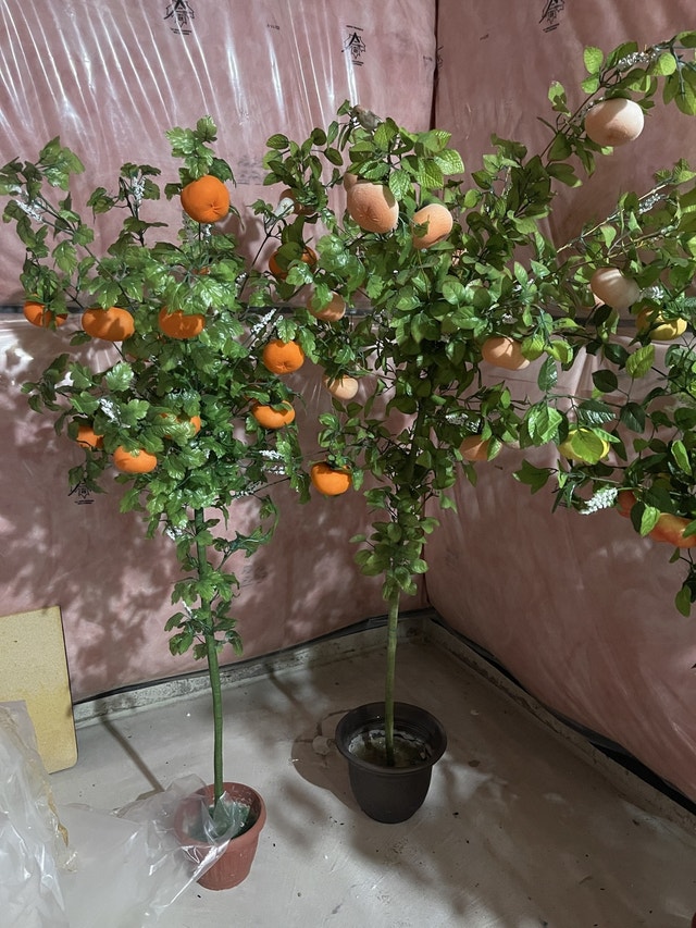 Hand made flowers & fruit trees (Artificial) Home Décor & Accents