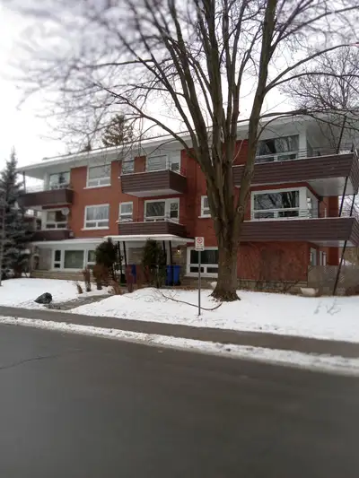 logement à louer