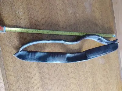 PACAY SHAKER Rattle 2, View more