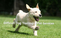 Difficult Dog Training and Pet Services