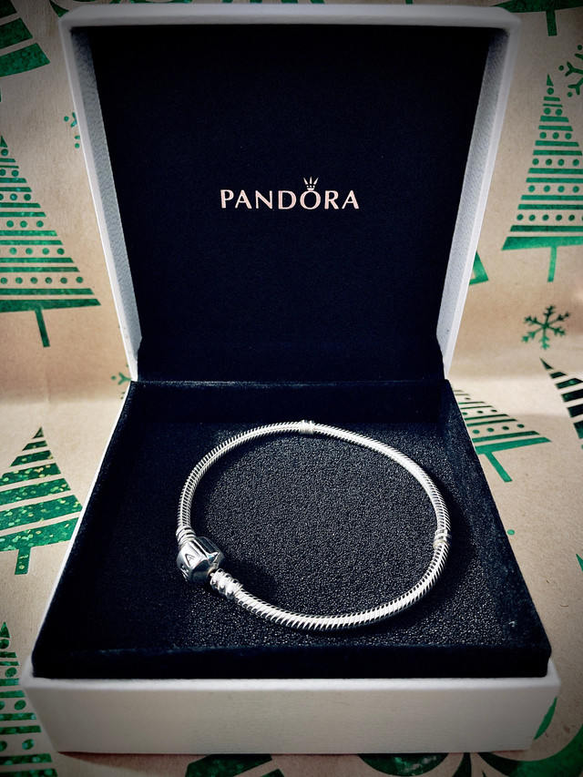 Pandora Charm Bracelet for sale **NEW** in Jewellery & Watches in Hamilton