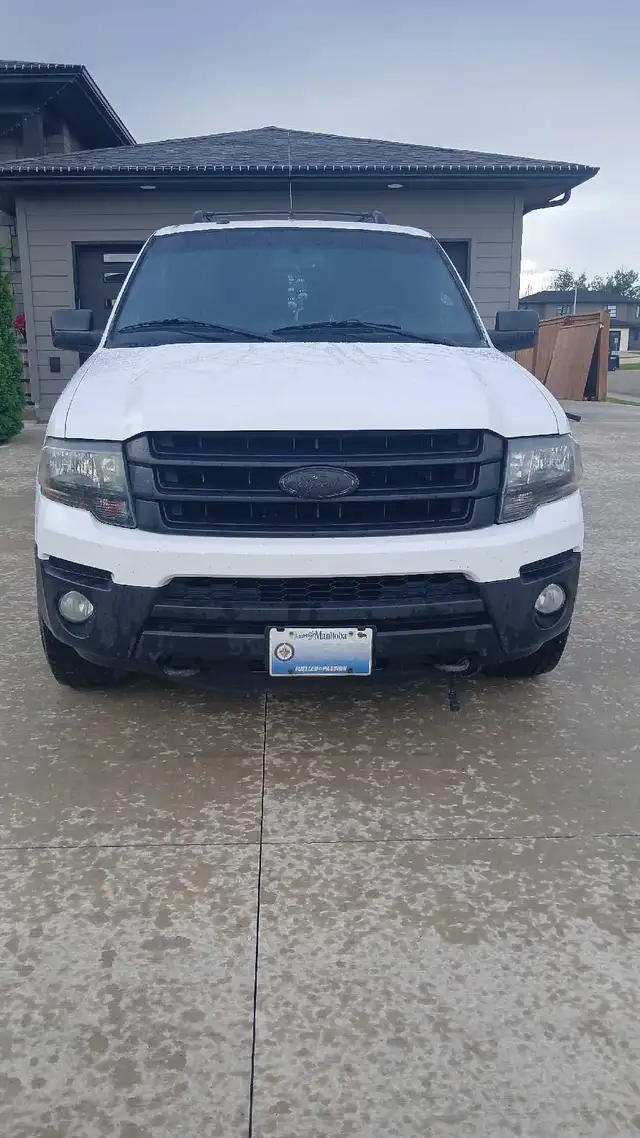 2015 Ford Expedition547959350179276801