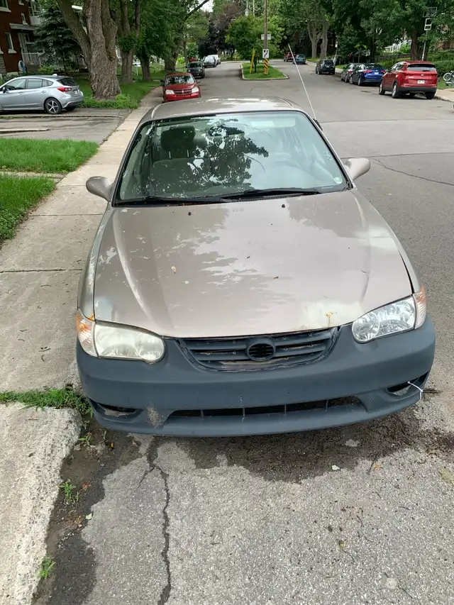 2001 Corolla493147180500275200