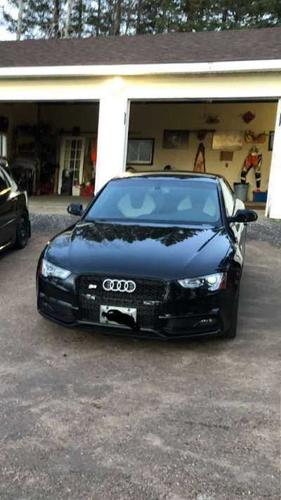 Audi for sale