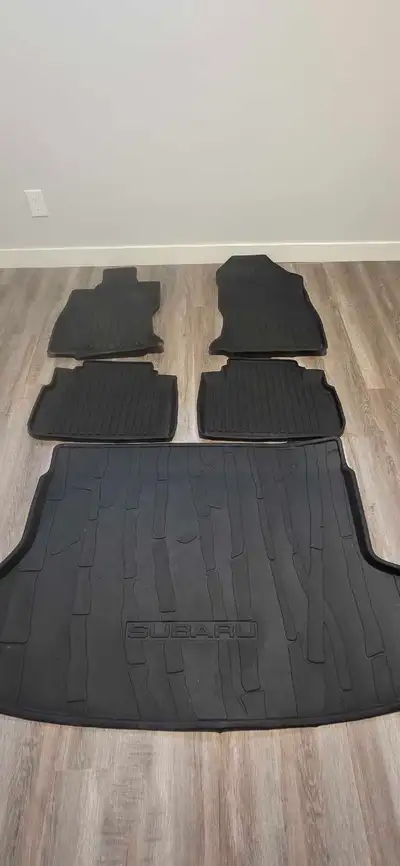 They came out of my 2024 subaru forester. Just upgraded to the 2026 and it came with mats already!....