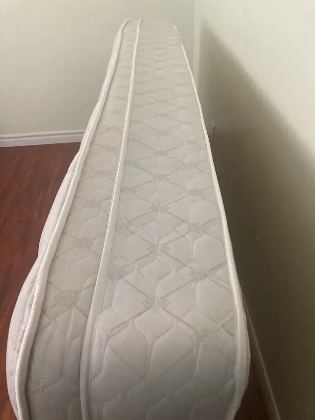 Sealy Twin Mattress in Beds & Mattresses in Cambridge - Image 6