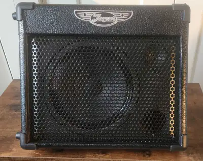 Traynor TVM10 Amp, View more