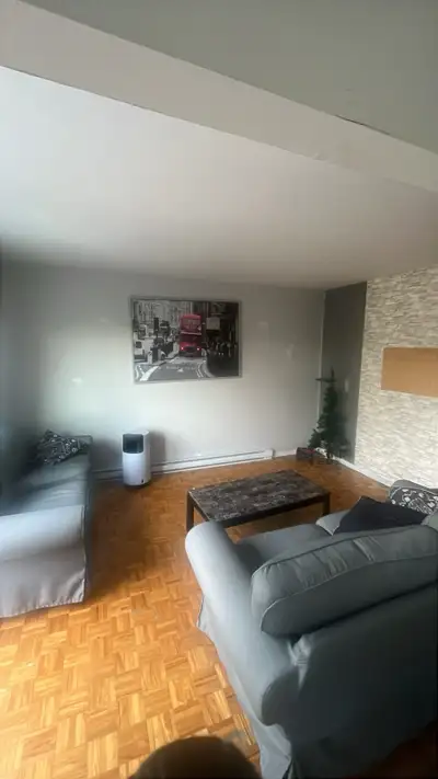rooom to rent