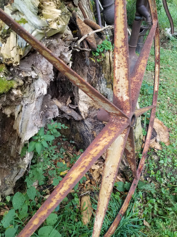 Farm Rake Wheel - Autumn Decor in Outdoor Décor in Kingston - Image 3