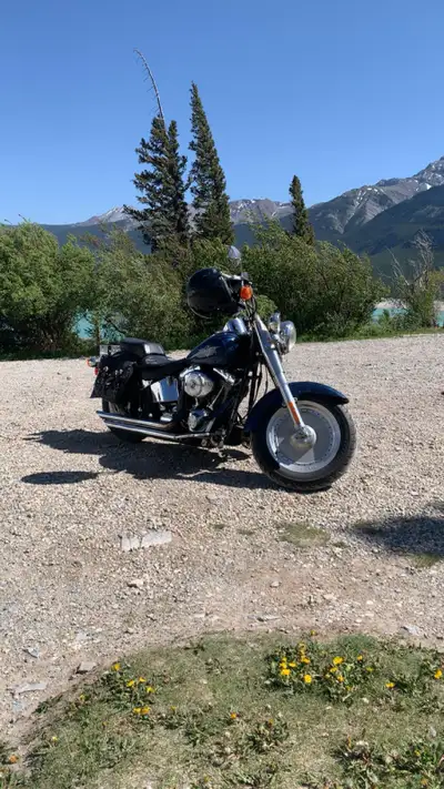2000 fat boy 88 cub with Mikuni carb has Vince Hines pipes and k&n air filter has a stage 1 bike run...