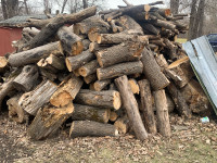 Firewood oak ash maple in 4 foot Lenghts  