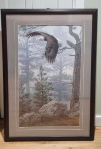 Bald Eagle Print, Framed