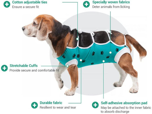 E-Collar Alternative pour chats et chiens : après la chirurgie dans Accessoires  à Ouest de l’Île - Image 4