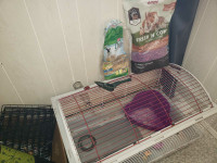 Cage à lapin / cochon d'inde / hamster