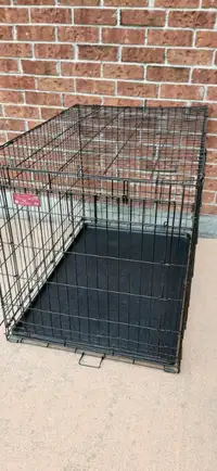Large Dog Crate 2 Door for Sale