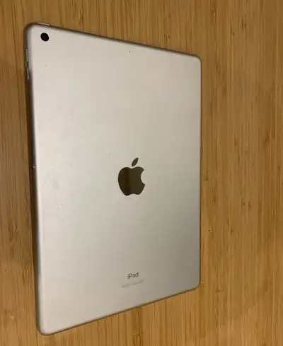Apple iPads in perfect condition runs everything you needed to, no issues