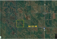 163 Acres For Sale