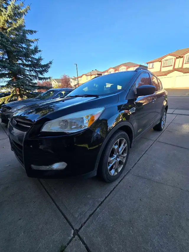 2014 ford escape 