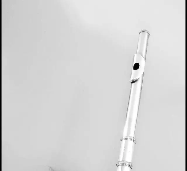 Flute Teacher ( Online Music Teacher)566528869800366082