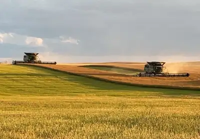 Connor Ag Ventures is seeking full-time, part-time, as well as casual employees to work on our famil...