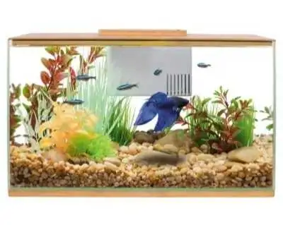 3Gallon aquarium , View more