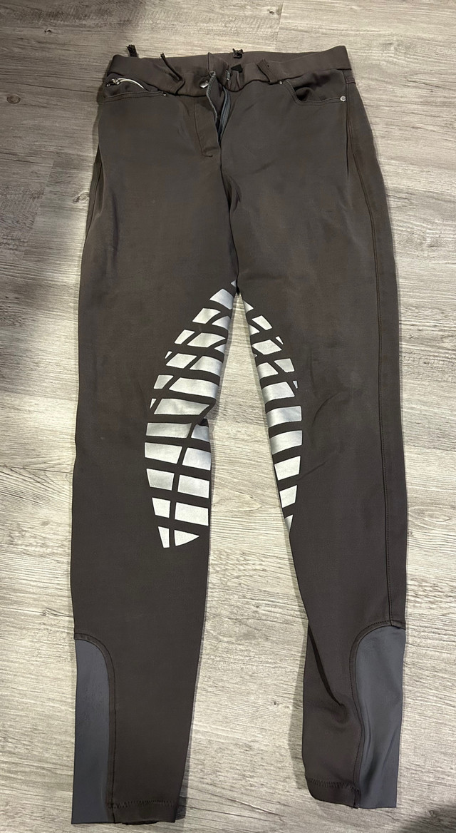 Equestrian riding pants for sale in Equestrian & Livestock Accessories in Oshawa / Durham Region - Image 3
