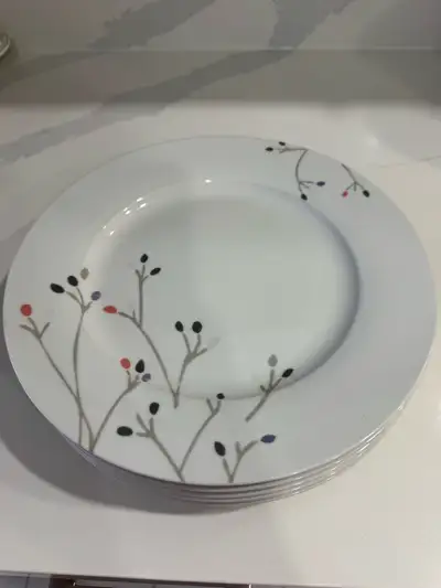 AmazonBasics Dinner Plates Set, View more