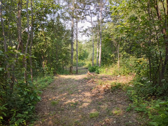 Get out of the city to this beautiful rural acreage in Land for Sale in City of Toronto - Image 3